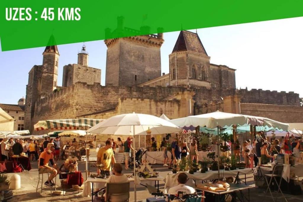 La Balance Des Doms - 1 Min Du Palais Des Papes - Intra-Muros Авиньон Экстерьер фото